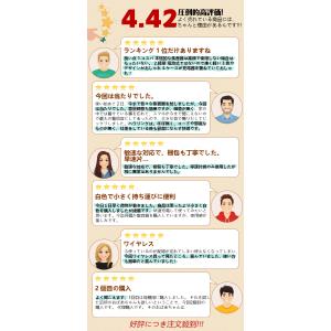 10,980円→7,960円4時間特売】 集音...の詳細画像3