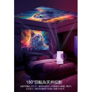 【10,980円→9,260円12時間限定】 ...の詳細画像3