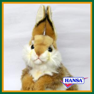 HANSA ハンサ ぬいぐるみ 6470 グレーオカメインコ オウム おうむ