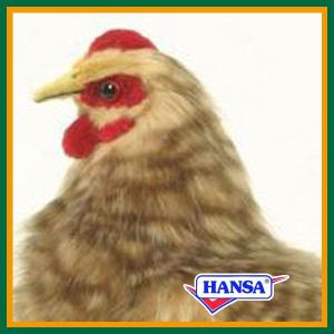 HANSA ハンサ ぬいぐるみ 4588 ベージュメンドリ 雌鳥 めんどり リアル
