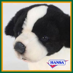 HANSA ハンサ ぬいぐるみ 5664 ボーダーコリーの仔 犬 コイヌ 仔犬 子犬 リアル 動物