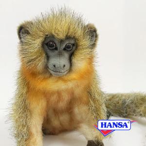 ポイント10倍 期間限定 HANSA ハンサ ぬいぐるみ 6230 ティティモンキー 猿 サル リアル 動物