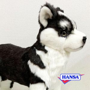 HANSA ハンサ ぬいぐるみ 7512 シベリアンハスキーの仔 犬 コイヌ 仔犬 子犬 リアル 動物｜ソプラノYahoo!店