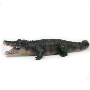 ワニ フィギュア Mサイズ （クロコダイル） 爬虫類リアルフィギュア