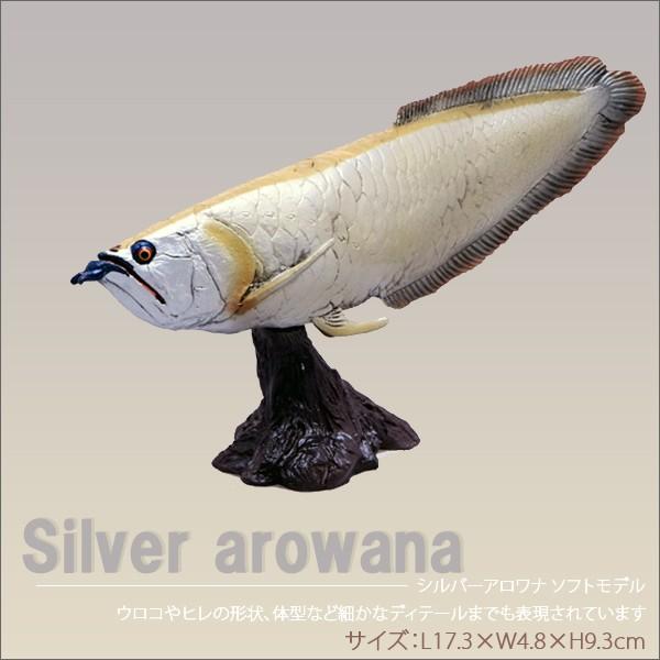 フェバリット 古代魚フィギュア エンシェントフィッシュ ソフトモデル シルバーアロワナ