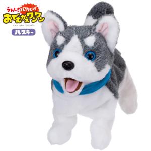 イワヤ リモコンでおさんぽ ピョンピョンロッピー ウサギの電動