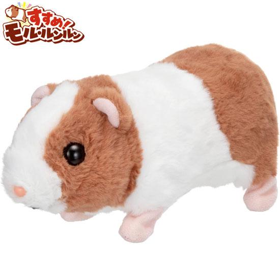 イワヤ すすめ！モルルンルン 電動動物 動くぬいぐるみ モルモット