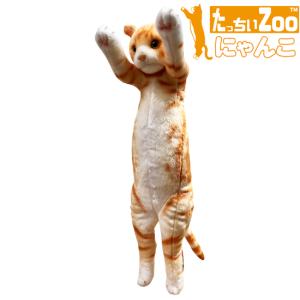 たっちぃZoo にゃんこ 三毛猫 猫のぬいぐるみ : ソプラノYahoo!店