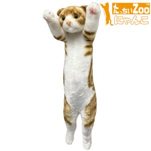 ふとっちぃZooにゃんこ スコティッシュフォールド 中古 : 浪漫堂