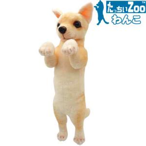 たっちぃZoo にゃんこ エキゾチック 猫のぬいぐるみ : ソプラノYahoo