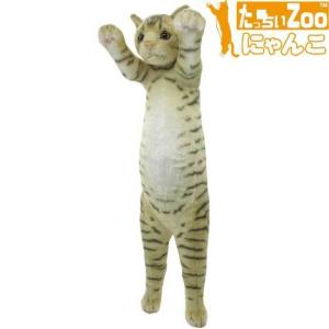 たっちぃZoo にゃんこ さばとら たっちぃZOO ニャンコ サバトラ 株式
