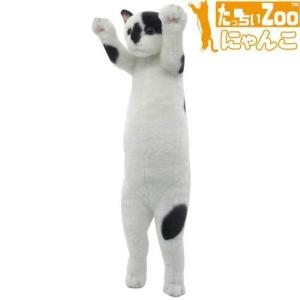たっちぃZoo にゃんこ エキゾチック 猫のぬいぐるみ : ソプラノYahoo