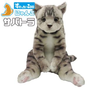 たっちぃZoo にゃんこ はちわれ たっちぃZOO ニャンコ ハチワレ 株式