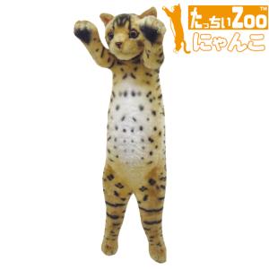 たっちぃzooにゃんこ たっちぃZoo にゃんこ エキゾチック 猫のぬいぐるみ : ソプラノYahoo
