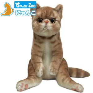 たっちぃZoo にゃんこ エキゾチック 猫のぬいぐるみ : ソプラノYahoo