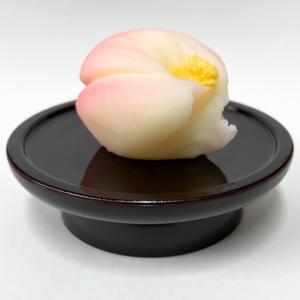 お供え菓子 つぼみ 食品サンプルの商品画像