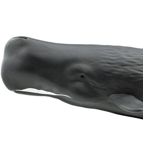 サファリ社フィギュア 100209 マッコウクジラ
