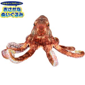 魚 リアル イラストの商品一覧 通販 Yahoo ショッピング