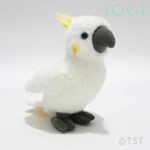 ぬいぐるみ101 鳥のぬいぐるみ オウムii Sm312 366 ビッグスターネットショップ 通販 Yahoo ショッピング
