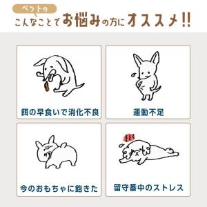 自動給餌器 犬 知育玩具 知育 おもちゃ おや...の詳細画像1