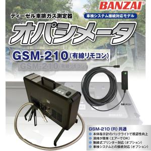 HORIBA 排ガステスター MEXA-324M HC/COテスター 測定機器 新品