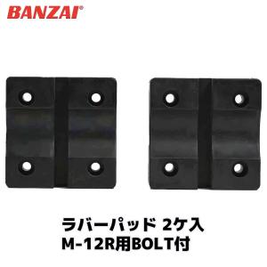 【中古】BANZAI DG-8S ﾃﾞｨｰｾﾞﾙ車用ｺﾝﾌﾟﾚｯｼｮﾝｹﾞｰｼﾞ【ハンズクラフト沖縄豊見城店】 BANZAI コンプレッションゲージ(ディーゼル車用) 小・中型車用 DG-8S