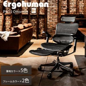 関家具 445396 EHP2-LPL-DR-BF-BK ブラックフレーム×ブラック 高機能
