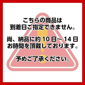 日本製 2枚 引違い キャビネット 鍵付き 上...の詳細画像4