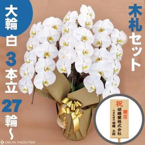胡蝶蘭 大輪 3本立ち 27輪〜(蕾込み) 木札セット 高級 農園直送 金賞受賞 金婚式 移転祝い 開業祝い 叙勲 受章祝い 昇進 栄転 就任 長寿 還暦 株主総会
