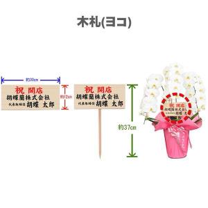 胡蝶蘭 大輪 3本立ち 27輪〜(蕾込み) 木...の詳細画像2