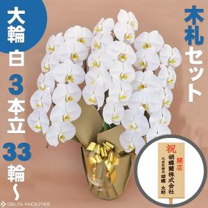胡蝶蘭 大輪 3本立ち 33輪〜(蕾込み) 木札セット 高級 農園直送 金賞受賞 金婚式 移転祝い 開業祝い 叙勲 受章祝い 昇進 栄転 就任 長寿 還暦 株主総会