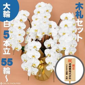 胡蝶蘭 大輪 5本立ち 55輪〜(蕾込み) 木札セット 高級 農園直送 金賞受賞 金婚式 移転祝い 開業祝い 叙勲 受章祝い 昇進 栄転 就任 長寿 還暦 株主総会