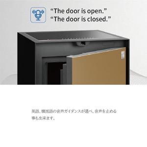 開梱設置別途 指紋認証+テンキー式 耐火金庫 ...の詳細画像2