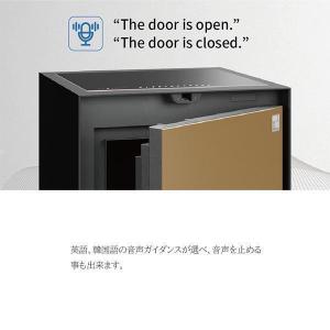 開梱設置別途 指紋認証+テンキー式 耐火金庫 ...の詳細画像2