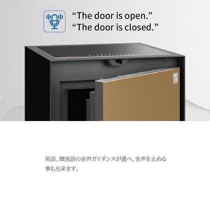 開梱設置別途 指紋認証+テンキー式 耐火金庫 ...の詳細画像2