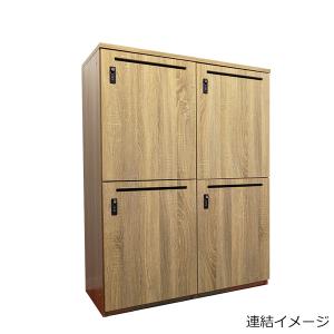パーソナルロッカー 2人用 ダイヤル錠 増連可...の詳細画像2