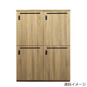 パーソナルロッカー 2人用 ダイヤル錠 増連可...の詳細画像3
