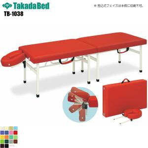 【埼玉にてお渡し限定】高田ベッド　パーテーション　2連セラピカート　衝立 埼玉県にてお渡し限定】高田ベッド パーテーション 2連セラピカート