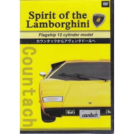 Spirit of the Lamborghini Flagship 12 cylinder mod...