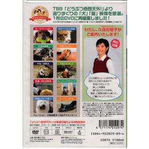 TBS発!どうぶつ奇想天外!DVDシリーズ び...の詳細画像1