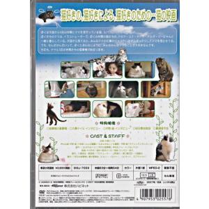 本日の猫事情 (DVD)の詳細画像1