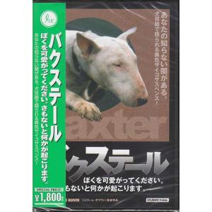 ロバート クレイマー監督 アイス マイルストーンズ DVDツインパック