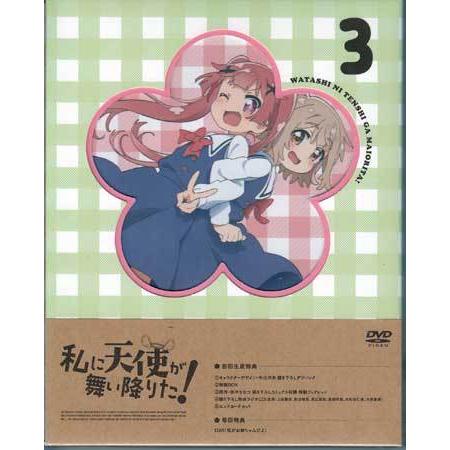 私に天使が舞い降りた！Vol．3 (DVD)