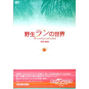 野生ランの世界 DVD-BOX (DVD)｜sora3