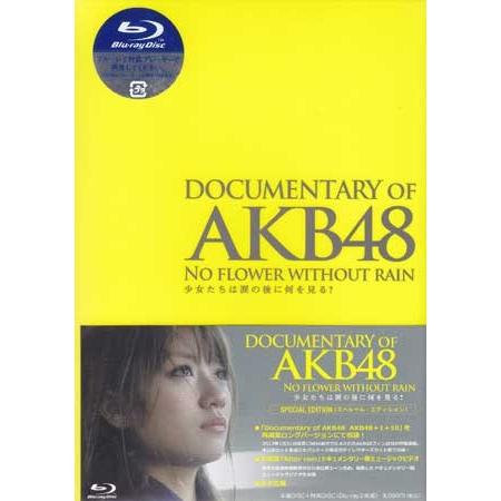DOCUMENTARY of AKB48 NO FLOWER WITHOUT RAIN 少女たちは涙...