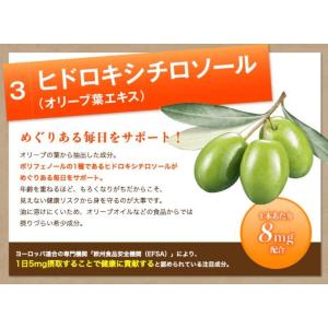 ラフィーネアルファ オリエンタルバイオ 健康ド...の詳細画像4