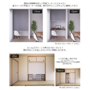 ロールスクリーン ノーテ 遮光2級 防炎 8色...の詳細画像4