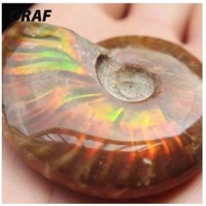 アンモナイト 宝石の商品一覧 通販 Yahoo ショッピング