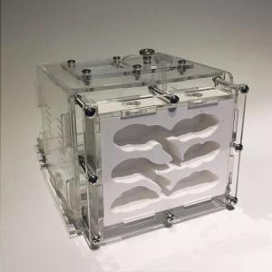 アリの巣 観察 キット ペット用品 生き物 の商品一覧 通販 Yahoo ショッピング