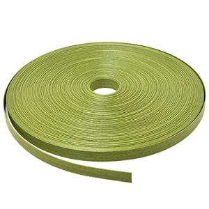 紺屋商事 20 /5 クラフトバンド 抹茶 50m RAP00000205
